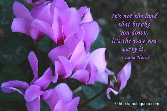 It's not the load that breaks you down, it's the way you carry it. ~ Lena Horne