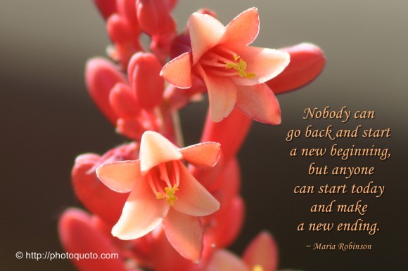 Nobody can go back and start a new beginning, but anyone can start today and make a new ending. ~ Maria Robinson