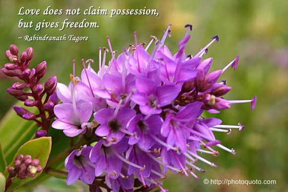Love does not claim possession, but gives freedom. ~ Rabindranath Tagore
