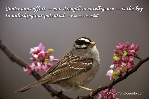 Continuous effort--not strength or intelligence--is the key to unlocking our potential. ~ Winston Churchill 