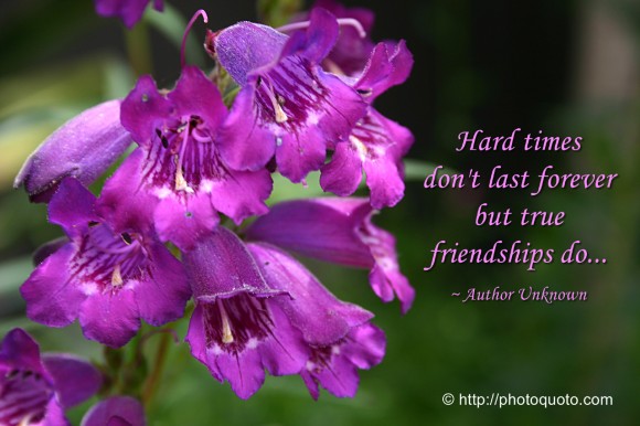 Hard times don't last forever but true friendships do... ~ Author Unknown
