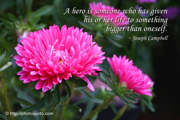 A hero is someone who has given his or her life to something bigger than oneself. ~ Joseph Campbell