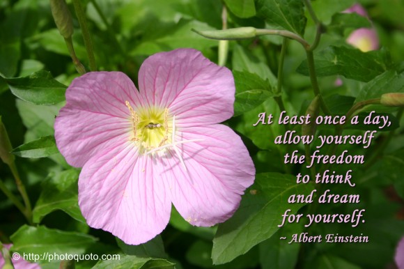 At least once a day, allow yourself the freedom to think and dream for yourself. ~ Albert Einstein 