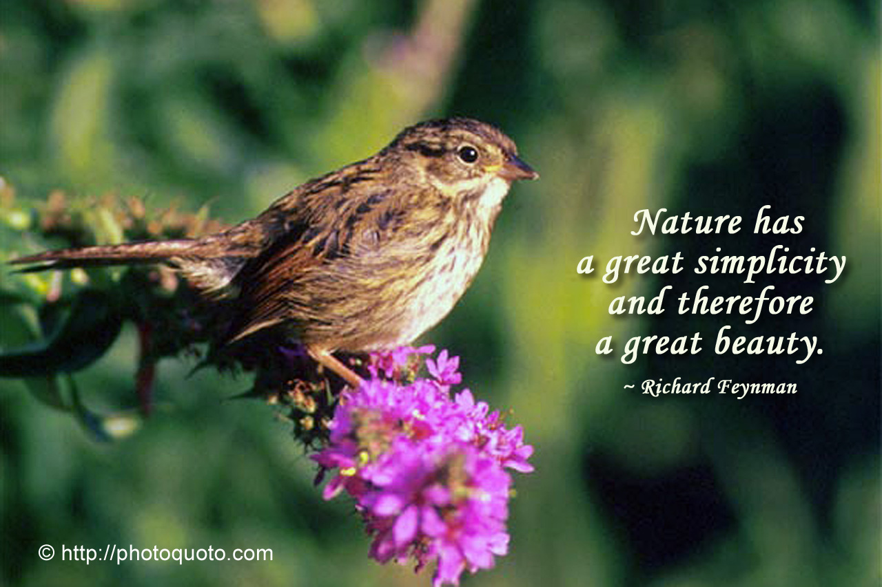 nature scenery quotes