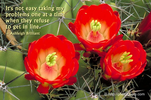 It's not easy taking my problems one at a time when they refuse to get in line. ~ Ashleigh Brilliant