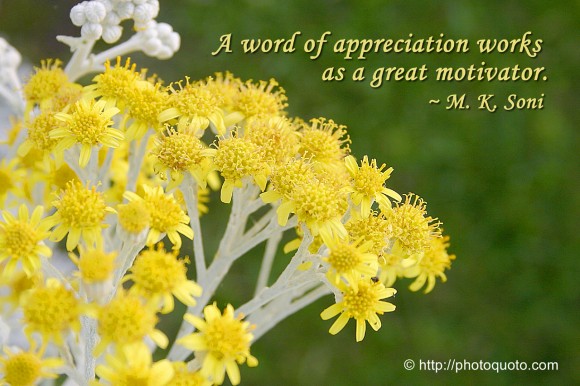 A word of appreciation works as a great motivator. ~ M. K. Soni