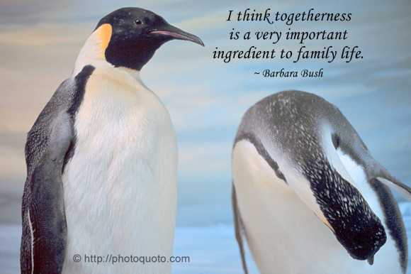 I think togetherness is a very important ingredient to family life. ~ Barbara Bush