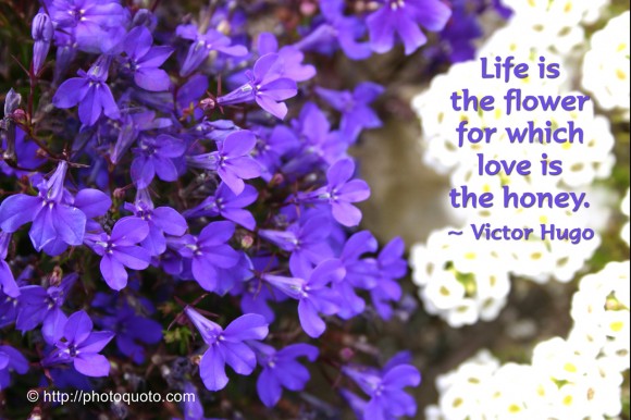 Life is the flower for which love is the honey. ~ Victor Hugo
