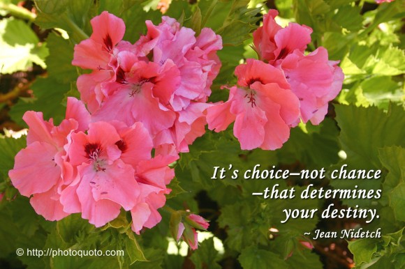 It’s choice–not chance–that determines your destiny. ~ Jean Nidetch