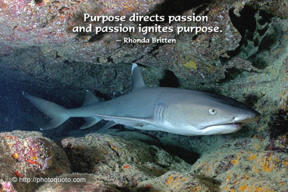 Purpose directs passion and passion ignites purpose. ~ Rhonda Britten