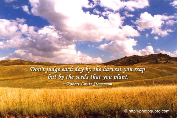Don't judge each day by the harvest you reap but by the seeds that you plant. ~ Robert Louis Stevenson 