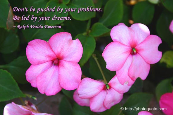 Don't be pushed by your problems. Be led by your dreams. ~ Ralph Waldo Emerson