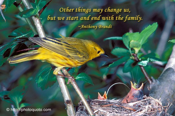Other things may change us, but we start and end with the family. ~ Anthony Brandt