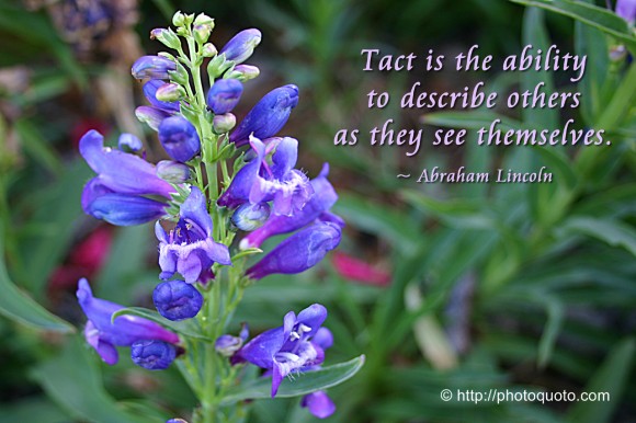 Tact is the ability to describe others as they see themselves. ~ Abraham Lincoln