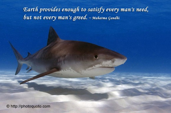 Earth provides enough to satisfy every man's need, but not every man's greed. ~ Mahatma Gandhi