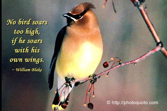 No bird soars too high, if he soars with his own wings. ~ William Blake