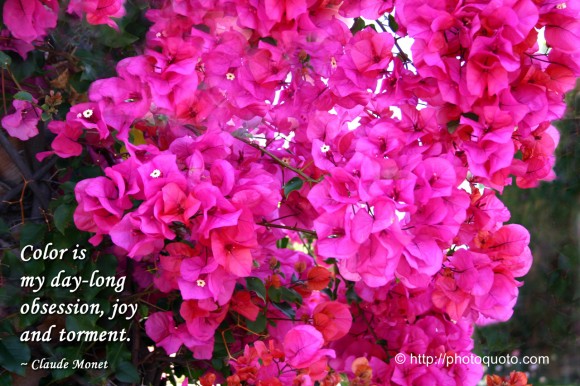 Color is my day-long obsession, joy and torment. ~ Claude Monet