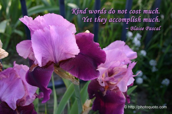 Kind words do not cost much. Yet they accomplish much. ~  Blaise Pascal