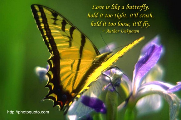 Love is like a butterfly, hold it too tight, it'll crush, hold it too loose, it'll fly. ~ Author Unknown