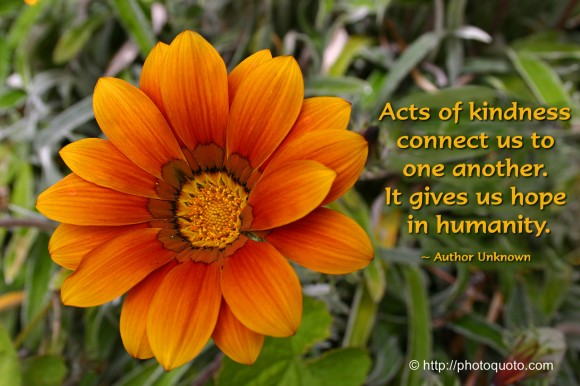 Acts of kindness connect us to one another. It gives us hope in humanity. ~ Author Unknown