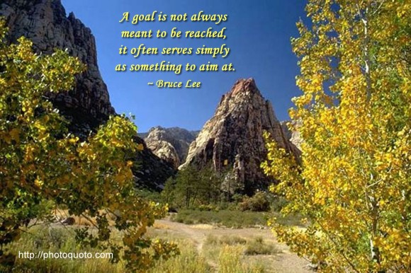 A goal is not always meant to be reached, it often serves simply as something to aim at. ~ Bruce Lee