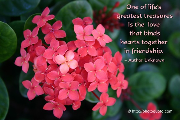 One of life's greatest treasures is the love that binds hearts together in friendship. ~ Author Unknown