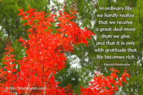 In ordinary life we hardly realize that we receive a great deal more than we give, and that it is only with gratitude that life becomes rich. ~ Dietrich Bonhoeffer