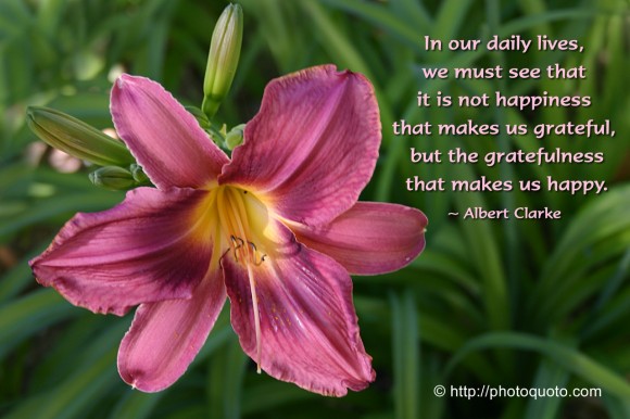 In our daily lives, we must see that it is not happiness that makes us grateful, but the gratefulness that makes us happy. ~ Albert Clarke 