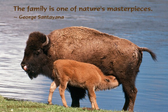 The family is one of nature's masterpieces. ~ George Santayana