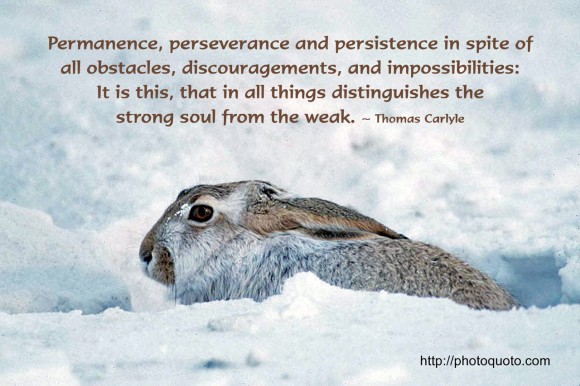 Permanence, perseverance and persistence in spite of all obstacles, discouragements, and impossibilities: It is this, that in all things distinguishes the strong soul from the weak. ~ Thomas Carlyle 