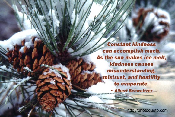 Constant kindness can accomplish much. As the sun makes ice melt, kindness causes misunderstanding, mistrust, and hostility to evaporate. ~ Albert Schweitzer