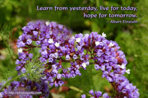 Learn from yesterday, live for today, hope for tomorrow. ~ Albert Einstein 