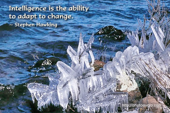 Intelligence is the ability to adapt to change. ~ Stephen Hawking 