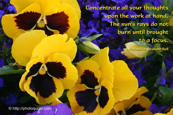 Concentrate all your thoughts upon the work at hand. The sun's rays do not burn until brought to a focus. ~  Alexander Graham Bell 