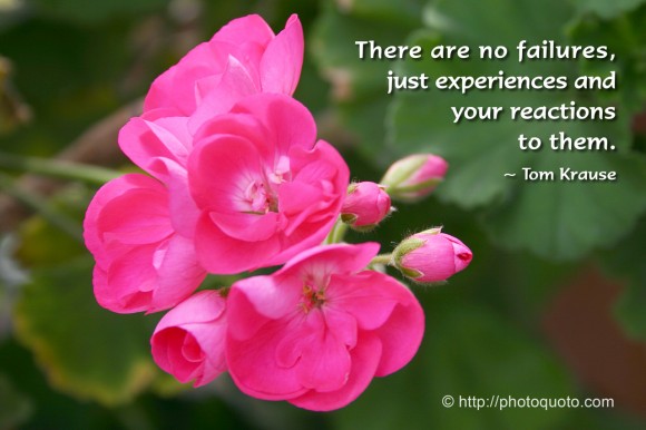 There are no failures, just experiences and your reactions to them. ~ Tom Krause