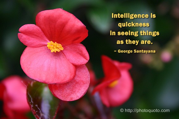 Intelligence is quickness in seeing things as they are. ~ George Santayana  
