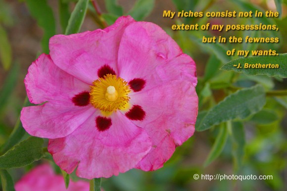 My riches consist not in the extent of my possessions, but in the fewness of my wants. ~ J. Brotherton