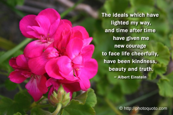 The ideals which have lighted my way, and time after time have given me new courage to face life cheerfully, have been kindness, beauty and truth. ~ Albert Einstein