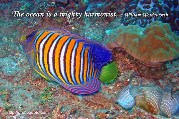 The ocean is a mighty harmonist. ~ William Wordsworth
