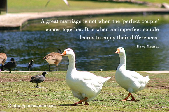 A great marriage is not when the 'perfect couple' comes together. It is when an imperfect couple learns to enjoy their differences. ~ Dave Meurer