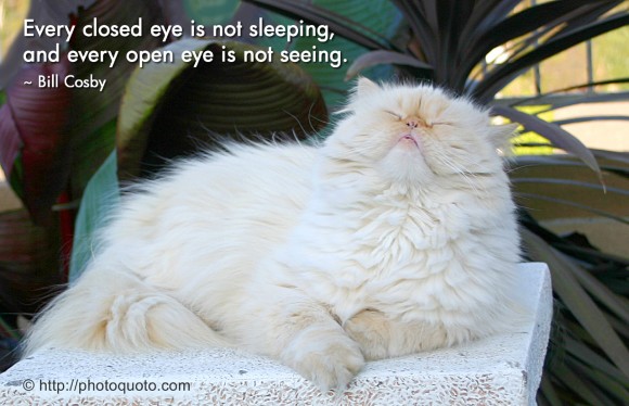 Every closed eye is not sleeping, and every open eye is not seeing. ~ Bill Cosby 