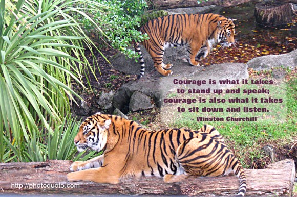 Courage is what it takes to stand up and speak; courage is also what it takes to sit down and listen. ~ Winston Churchill