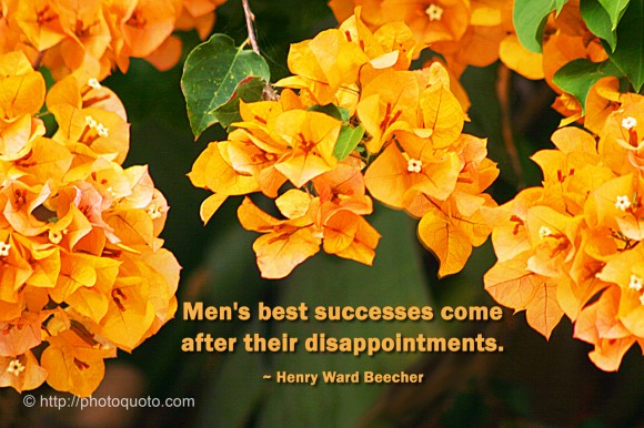 Men's best successes come after their disappointments. ~ Henry Ward Beecher