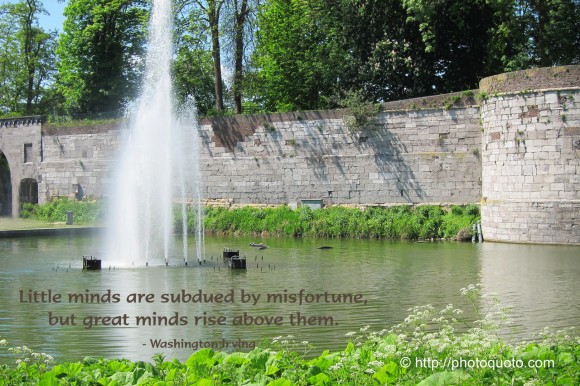 Little minds are tamed and subdued by misfortunes; but great minds rise above them.~ Washington Irving.