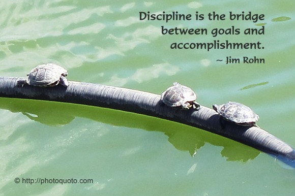 Discipline is the bridge between goals and accomplishment. ~ Jim Rohn 