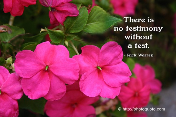 There is no testimony without a test. ~ Rick Warren