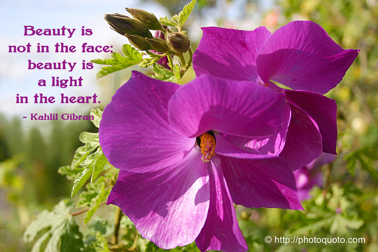 Quotes About Purple Flowers. QuotesGram