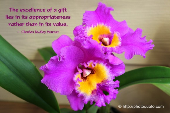 The excellence of a gift lies in its appropriateness rather than in its value. ~ Charles Dudley Warner  
